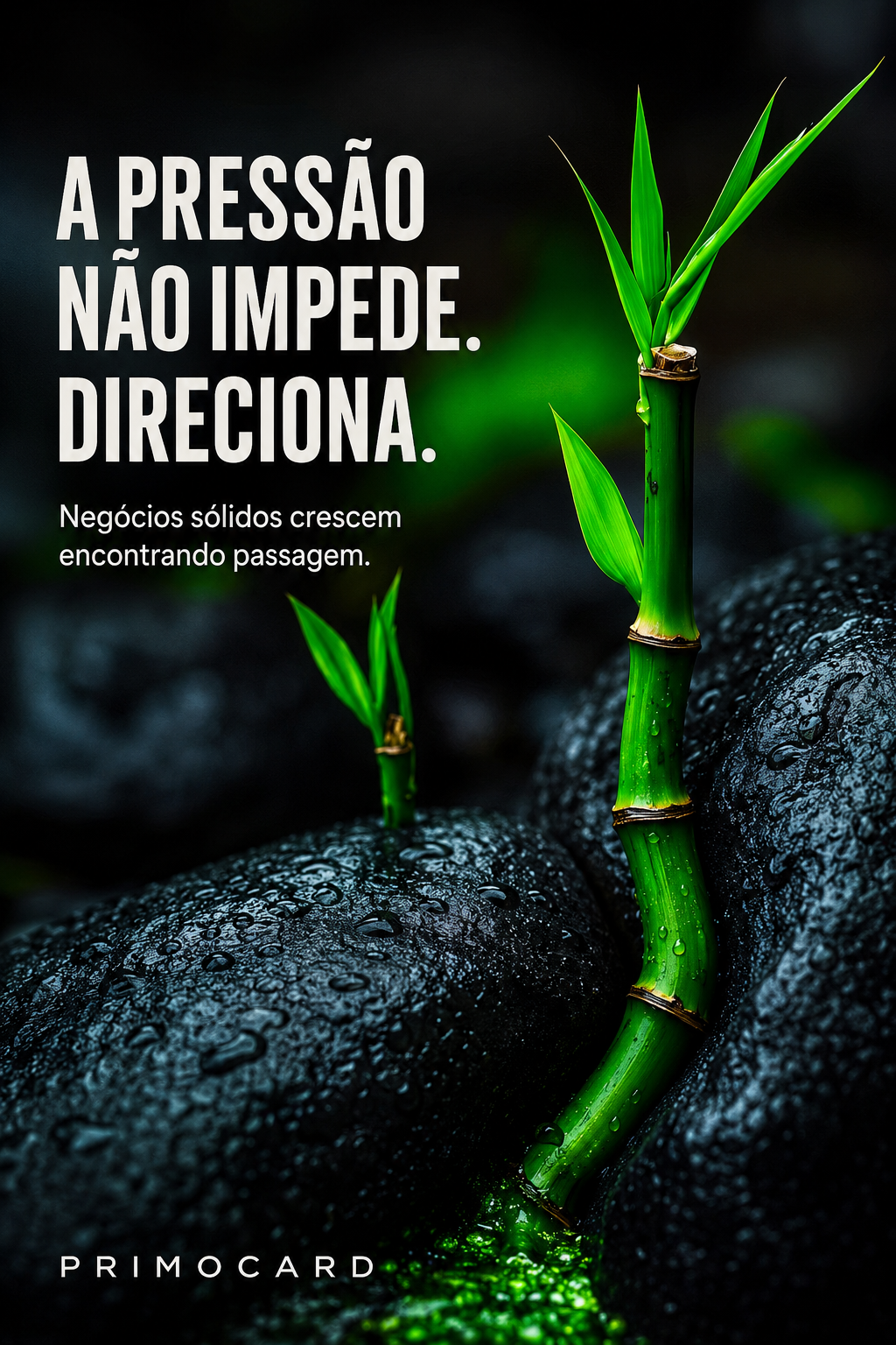 Pressão empresarial pode orientar o crescimento