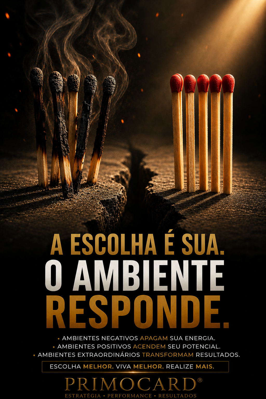 ambiente, crescimento, disciplina, resultados, desenvolvimento