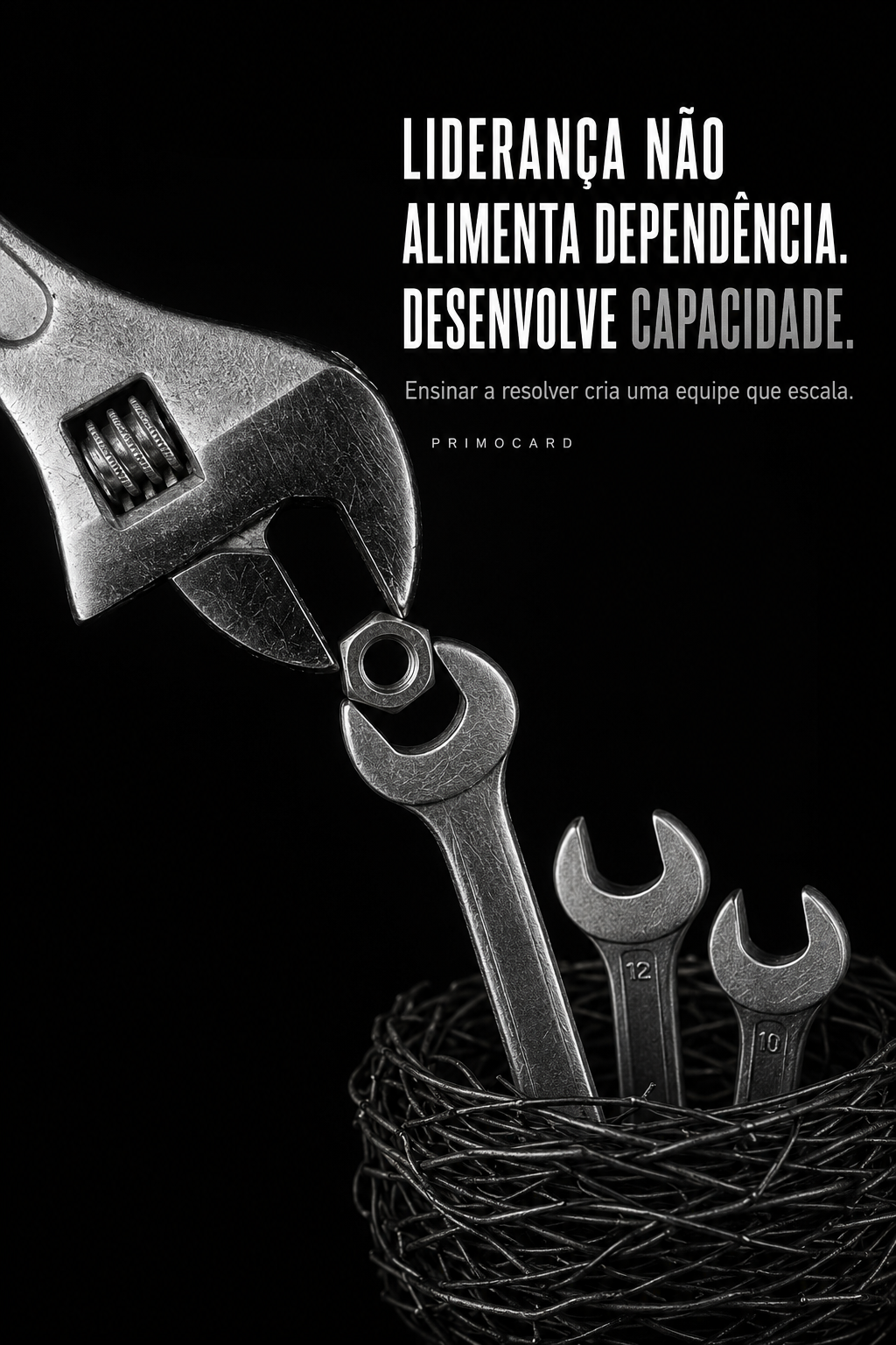 Liderança não cria dependência