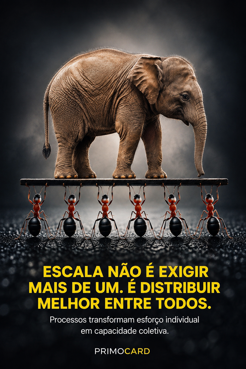 Crescer Exige Distribuir Melhor