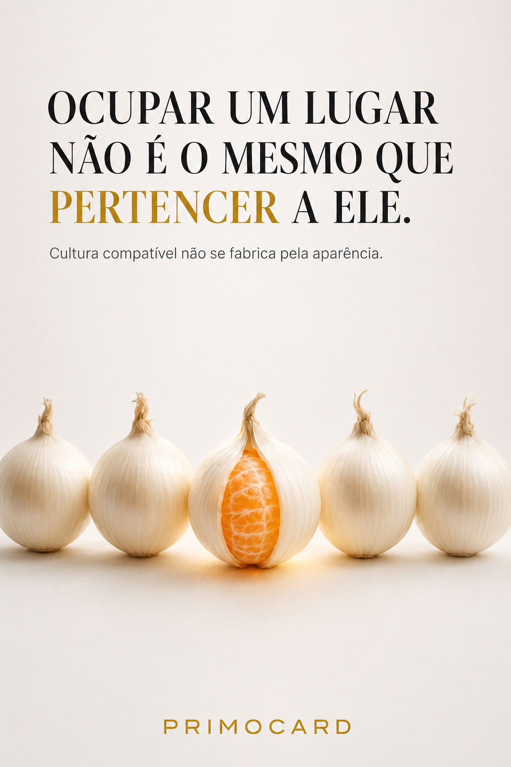 Pertencimento profissional exige compatibilidade cultural