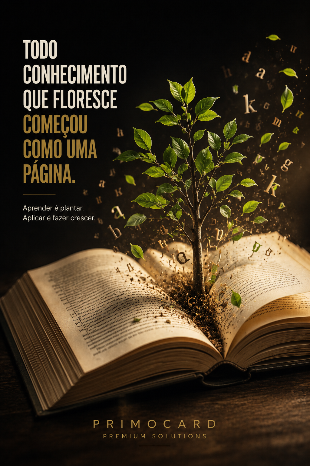 Conhecimento Aplicado Gera Crescimento