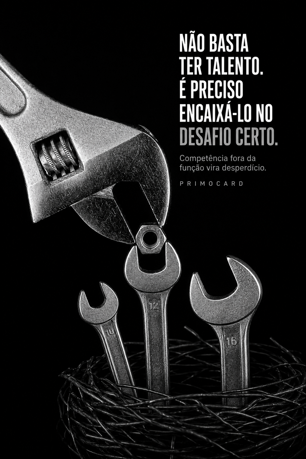 Talento Precisa Estar No Desafio Certo